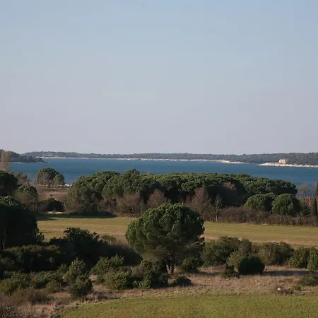 维拉熏衣草公寓 公寓 法扎纳